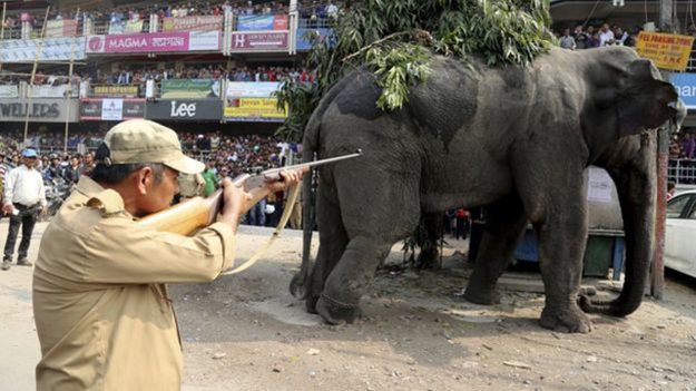 179217_w625_h351_f-4174768