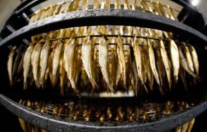 Астраханская область начала выпуск аналога «Рижских шпрот» (При этом по вкусовым качествам в сравнении с каспийскими сардинами «шпроты просто отдыхают»)
