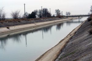 1455717079_50_vav_d_850-2049920