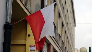 1455820430_52_1358558504-9052513