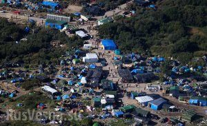 1455874198_50_generated-6195779