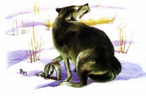 1456324035_100_post44big4-4603413