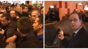 1456602081_4_generated-6308469