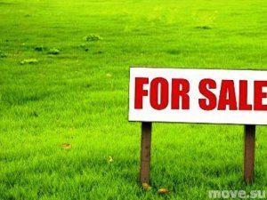 1456684261_6_33657-4784726