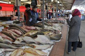 1456998909_67_kambala_d_850-7244856