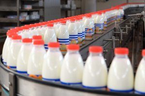 Россельхознадзор: Производство молока не остановится