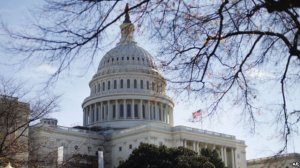 Палата представителей Конгресса США признала преступления «ИГ» геноцидом (Речь идет о действиях исламистов в отношении христиан, езидов, курдов и других этнических и религиозных меньшинств)