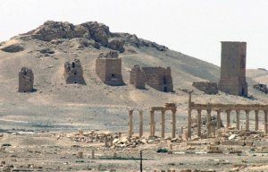 1458231147_35_4207436-6120886