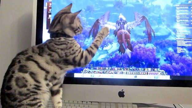 179762_w625_h351_f-5427689