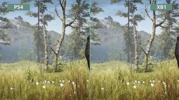 179936_w625_h351_f-9519443