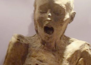 179948_w350_h250_f-6236828