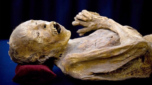 179950_w625_h351_f-8039090