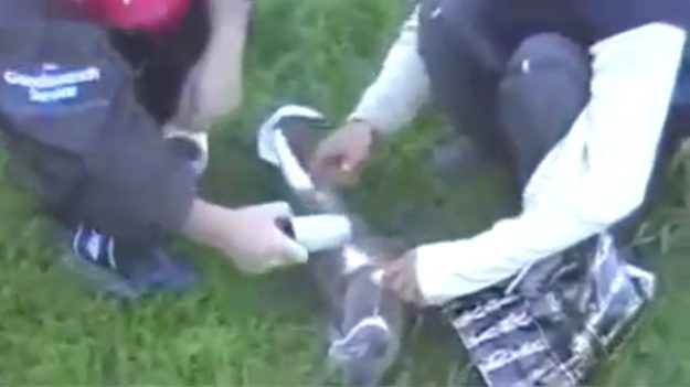 179971_w625_h351_f-9715650