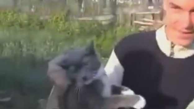 179972_w625_h351_f-4520036