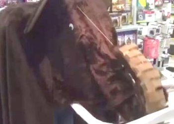 180105_w350_h250_f-9926557