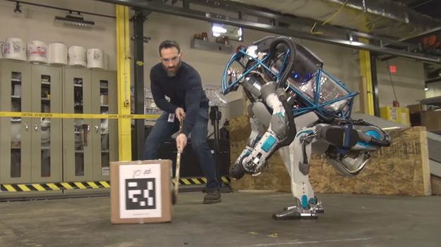 180162_w625_h351_f-4439644