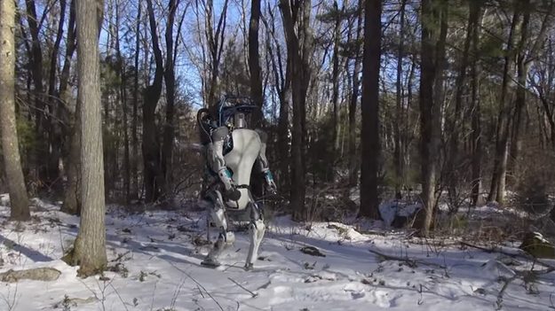 180164_w625_h351_f-3101730