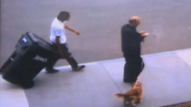 180427_w625_h351_f-6526456