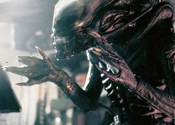 180652_w350_h250_f-5392940