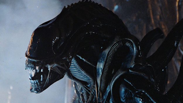 180653_w625_h351_f-8051051