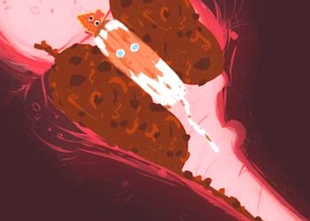 180851_w350_h250_f-6689421