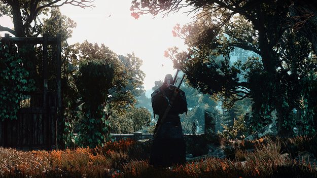 181316_w625_h351_f-2714745