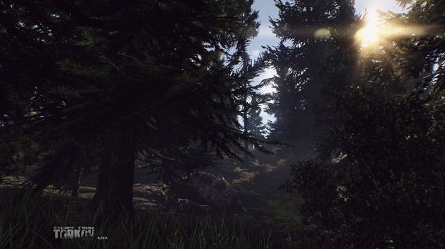 181822_w625_h351_f-4247271