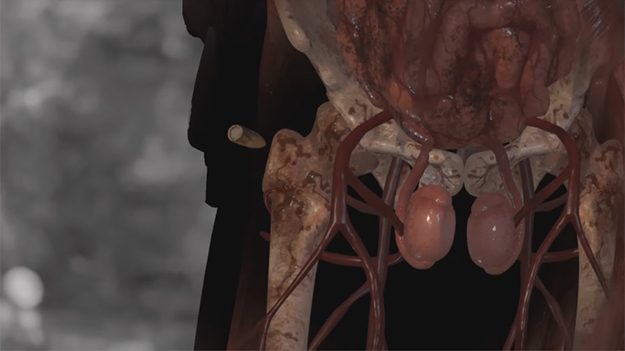 181966_w625_h351_f-7109502