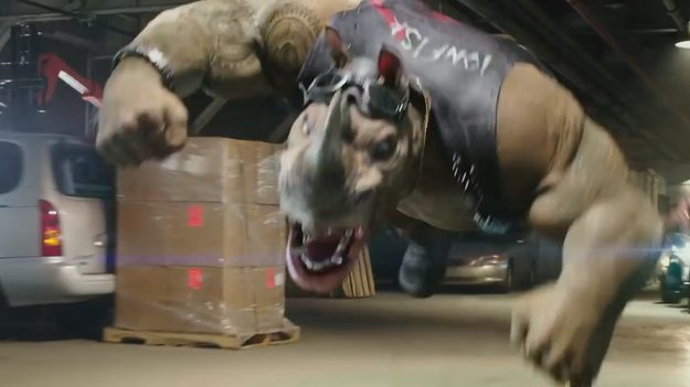 182640_w625_h351_f-8581687