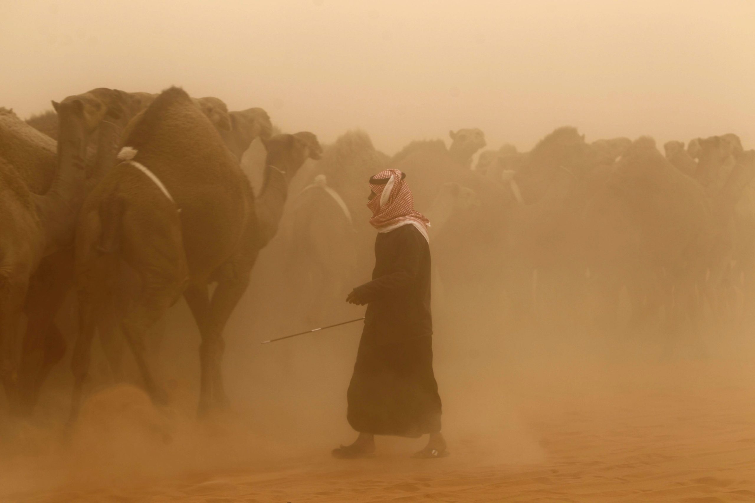 486922_1456131434-3444402