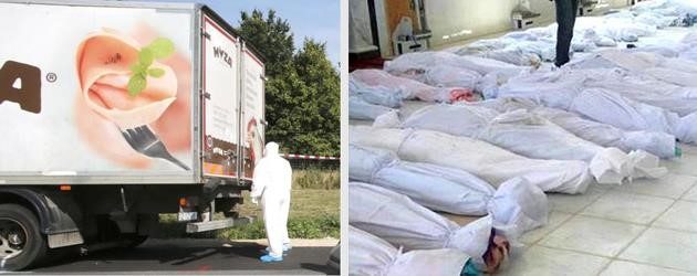 487427_1456645303-8617822