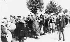 487427_1456645517-8824072