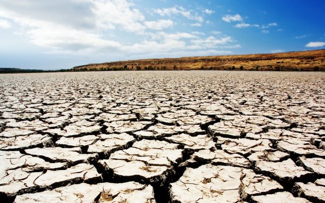 487867_1457016306-4441881