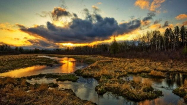 488527_1457676930-5436307