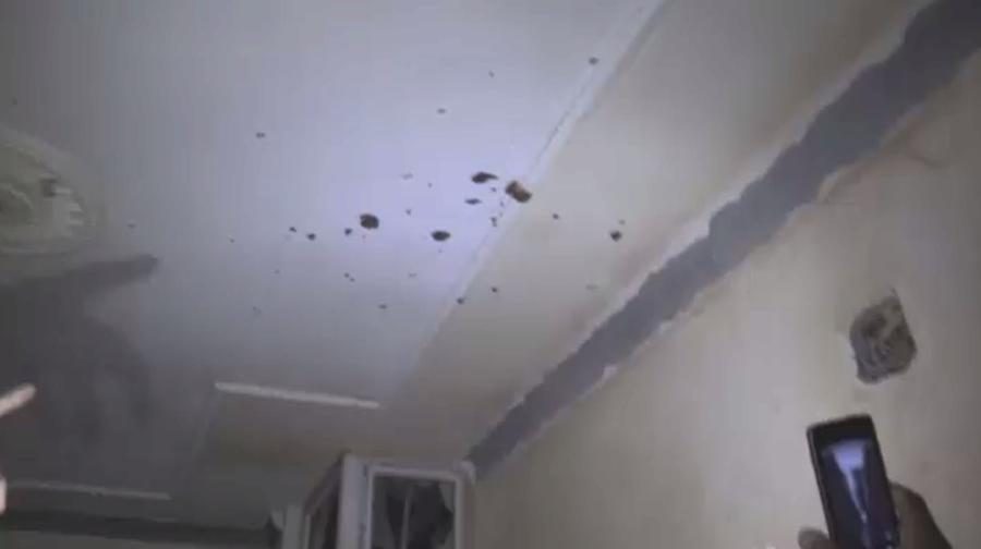 488566_1457696212-1987063