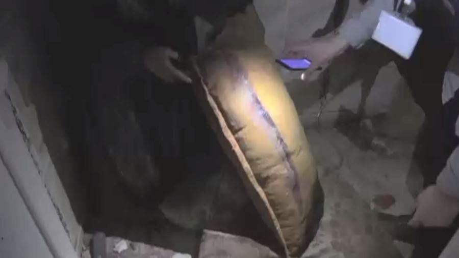 488566_1457696479-6910095