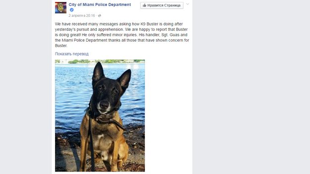 183460_w625_h351_f-4994435