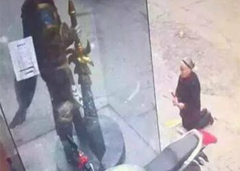 183655_w350_h250_f-5029065