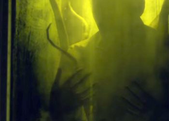 184038_w350_h250_f-1020201