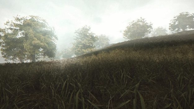 184462_w625_h351_f-4725285